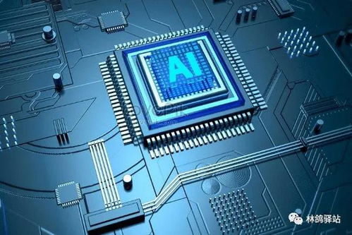 人工智能與智能人工 數(shù)據(jù)驅(qū)動下的AI基礎(chǔ)軟件開發(fā)